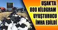 Uşak’ta 800 kilogram uyuşturucu imha edildi