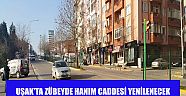 Uşak'ta Zübeyde Hanım Caddesi Yenilenecek